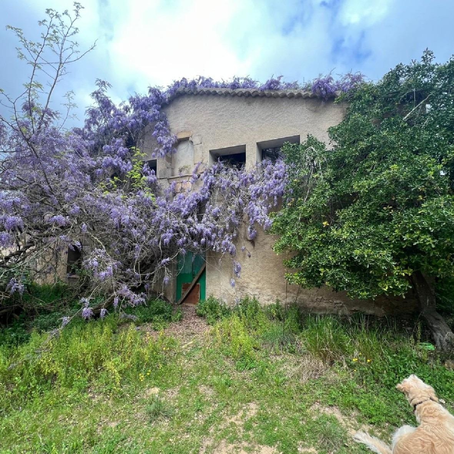 till salu hus Tossa De Mar Selva 2