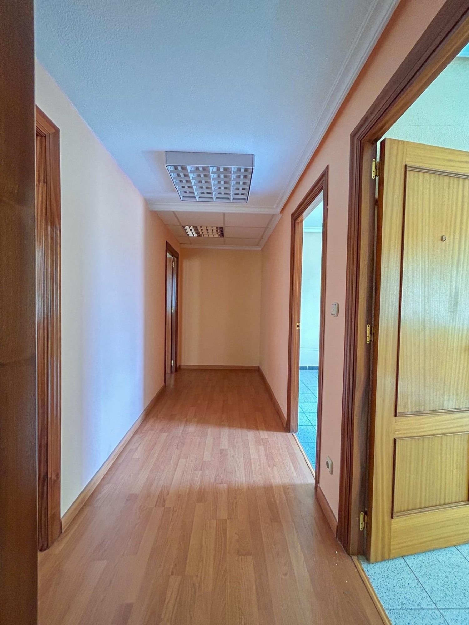  for sale office Molina De Segura Vega Media Del Segura 10