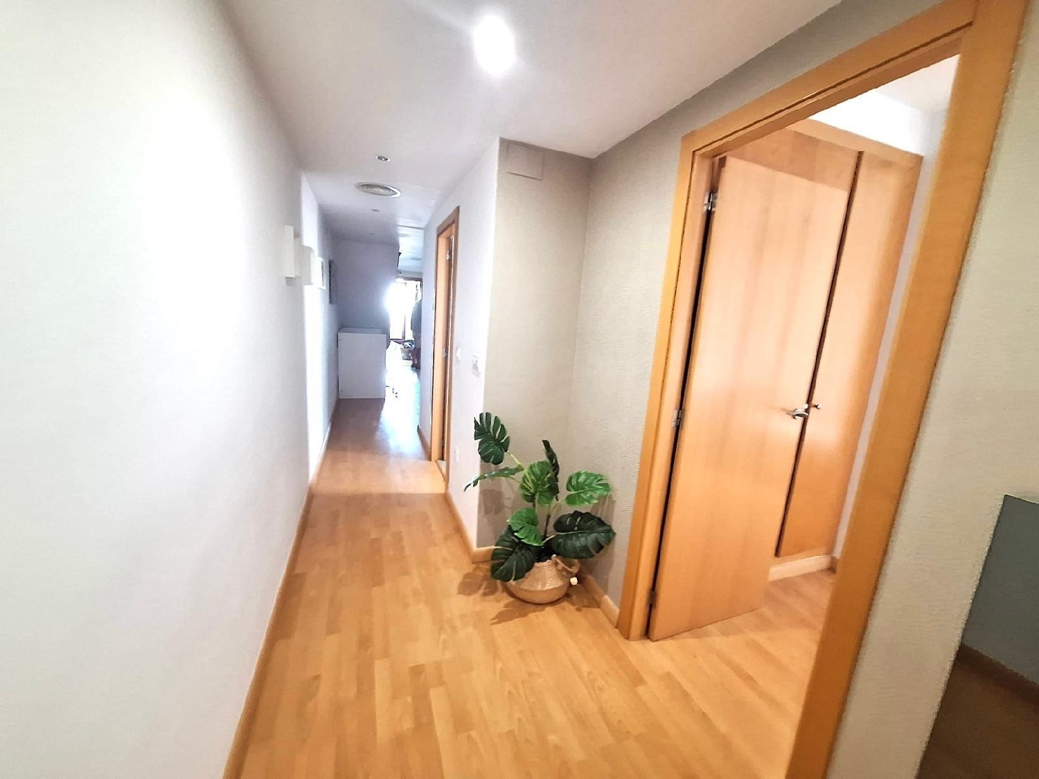  for sale penthouse Alzira Ribera Alta 7