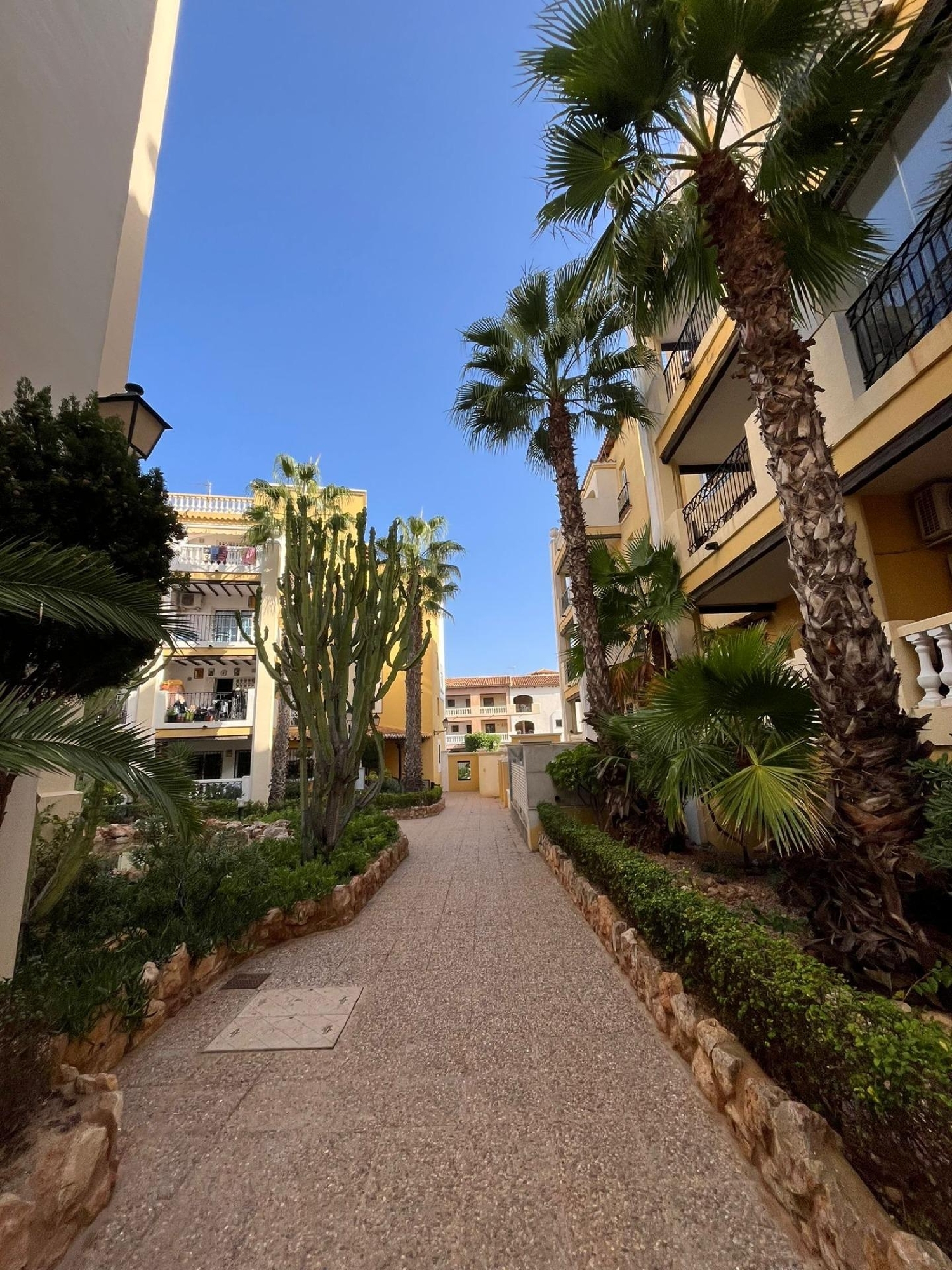  for sale penthouse Torrevieja Baix Segura 2