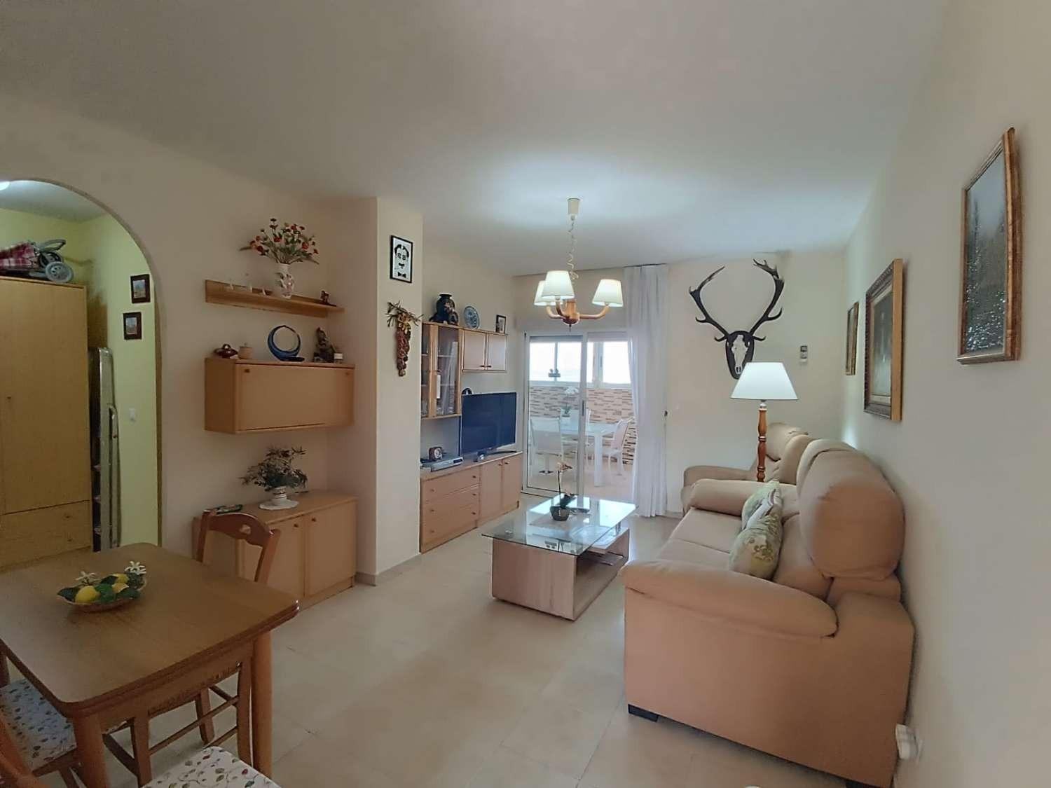  en venta ático Torrevieja Baix Segura 5