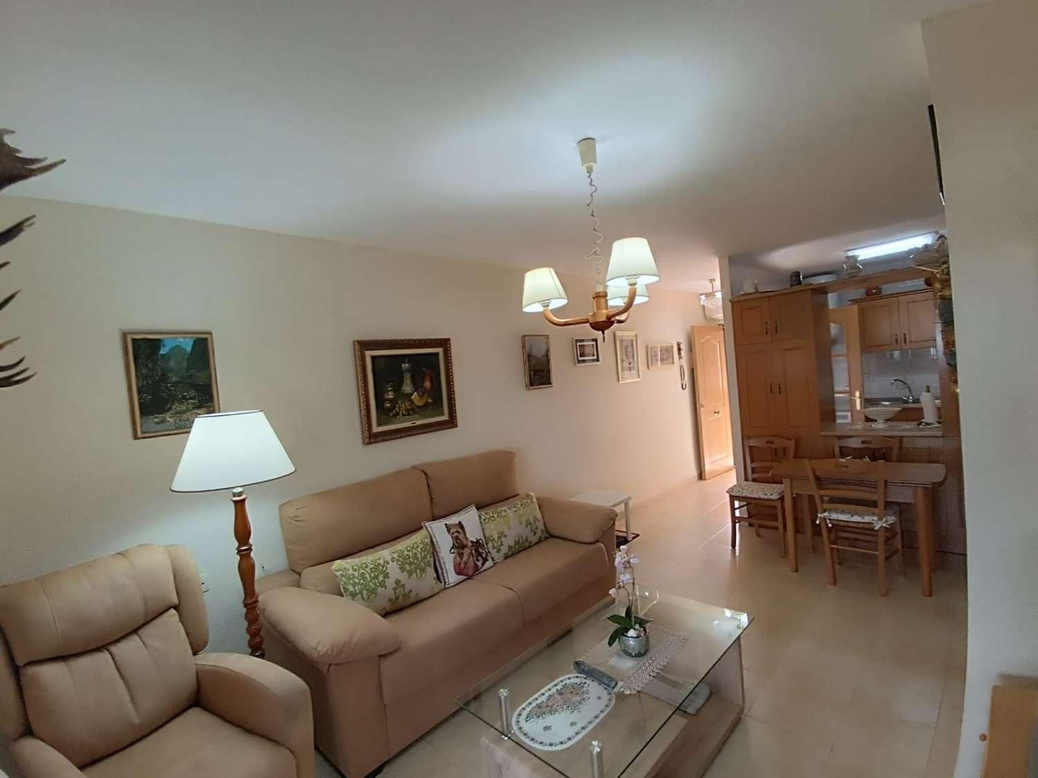  en venta ático Torrevieja Baix Segura 4