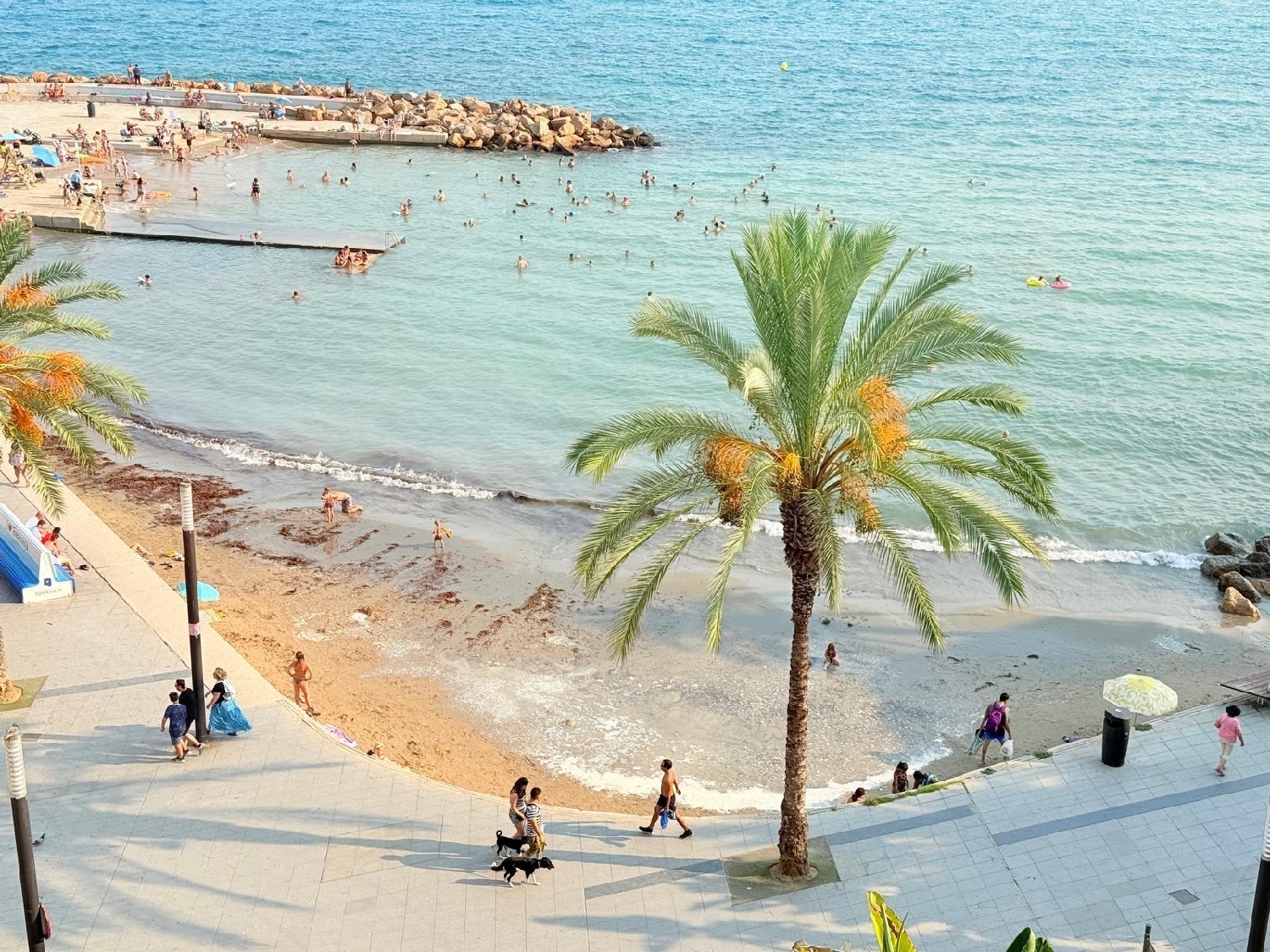  for sale penthouse Torrevieja Baix Segura 1