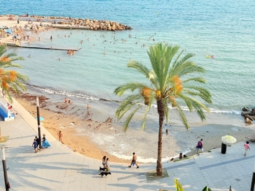 Torrevieja Baix Segura penthouse foto 6298859