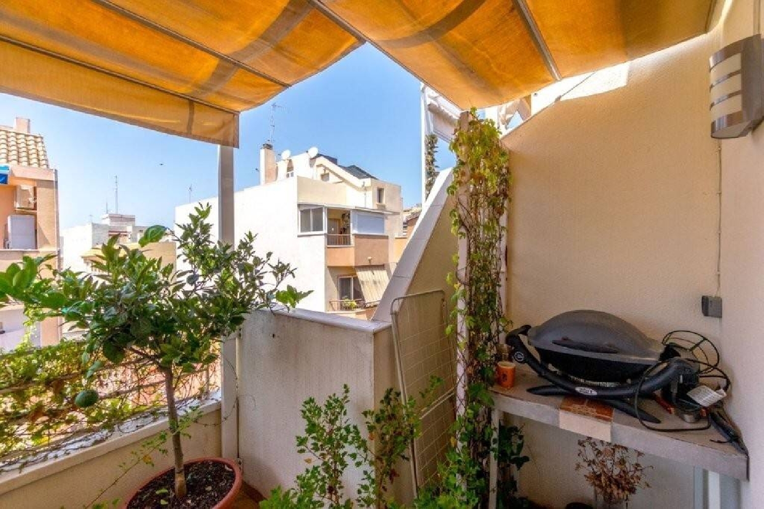  for sale penthouse Torrevieja Baix Segura 3