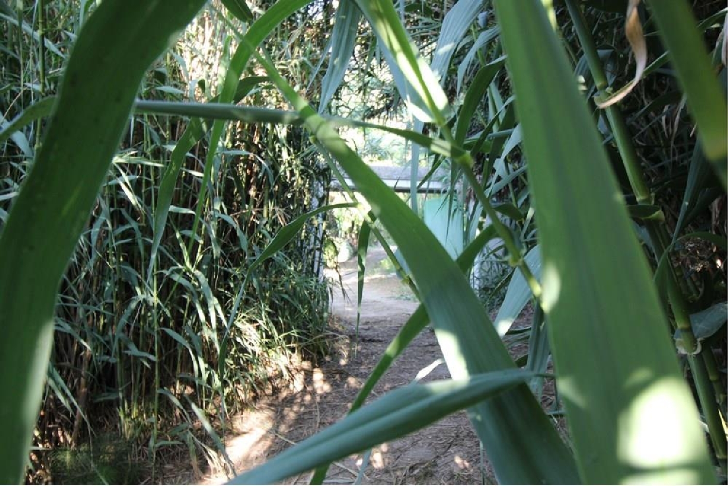  en venta ático Vejer De La Frontera Janda (La) 5