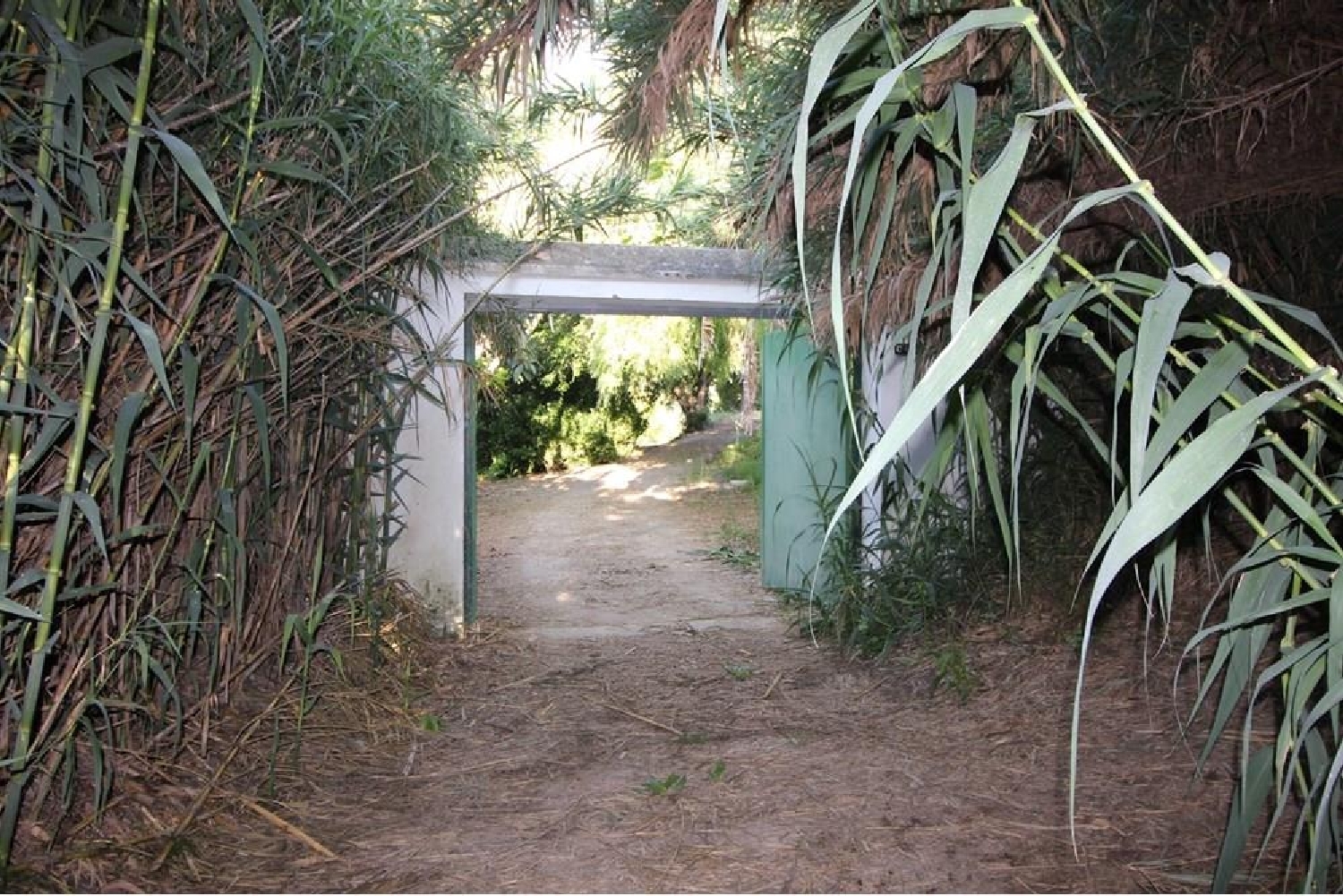  en venta ático Vejer De La Frontera Janda (La) 6