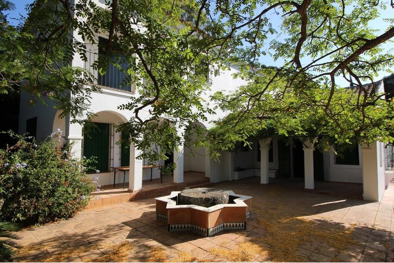  en venta ático Vejer De La Frontera Janda (La) 1