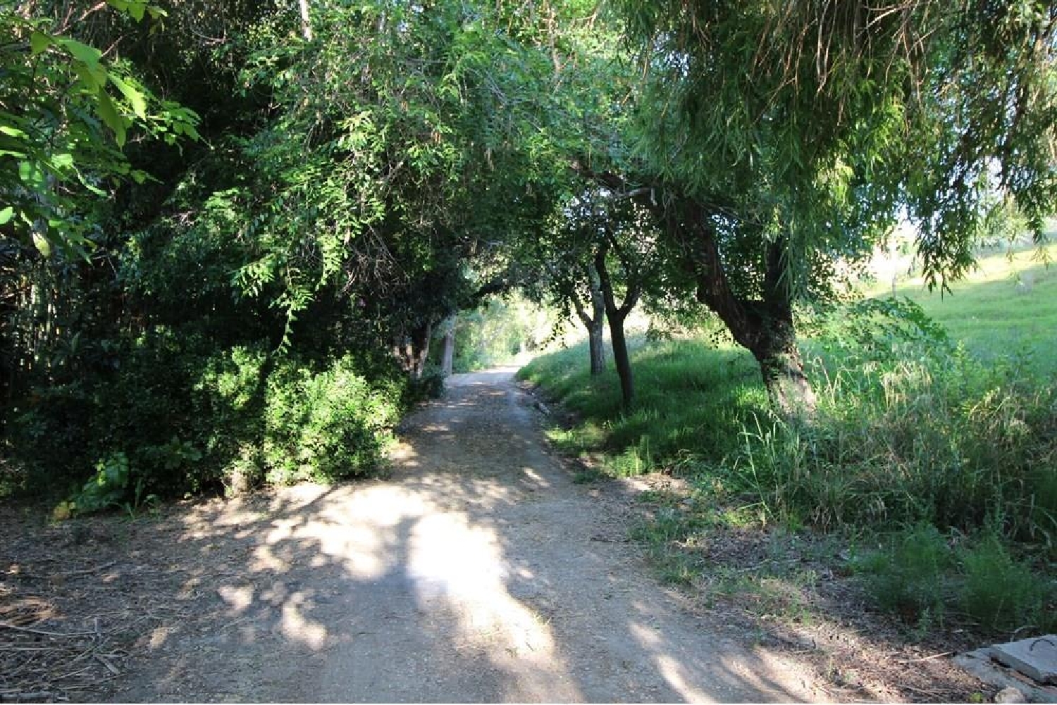  en venta ático Vejer De La Frontera Janda (La) 7