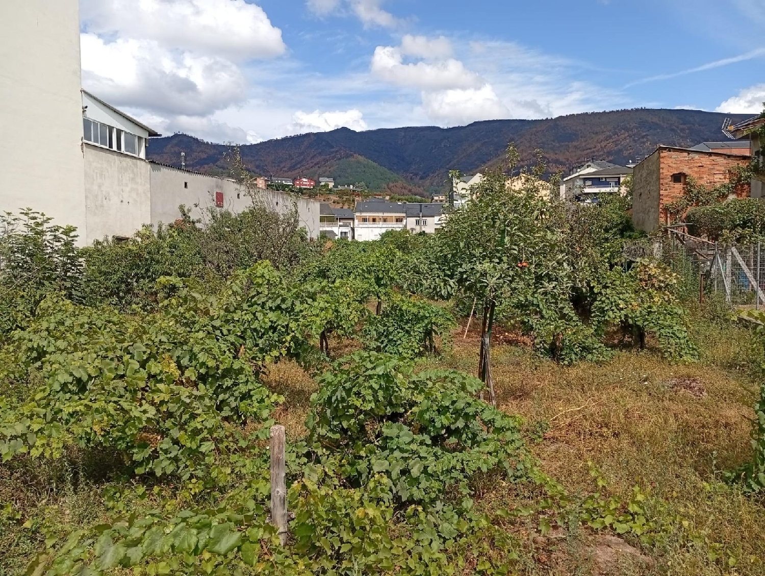  till salu tomt A Rua, A Rúa Arzúa 4