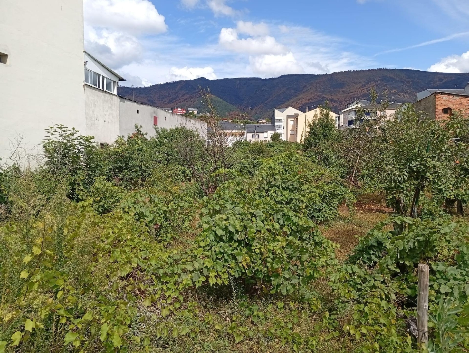 till salu tomt A Rua, A Rúa Arzúa 5