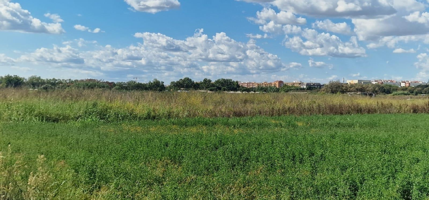  te koop perceel Aldaia Horta Oest 4