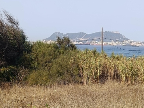 Algeciras Casco Antiguo Campo De Gibraltar tomt foto 6295327