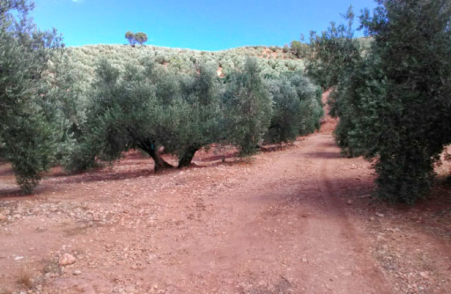  till salu tomt Arroyo Del Ojanco Sierra De Segura 4