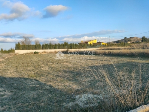 Aspe Vinalopó Mitjà terreno foto 6304403