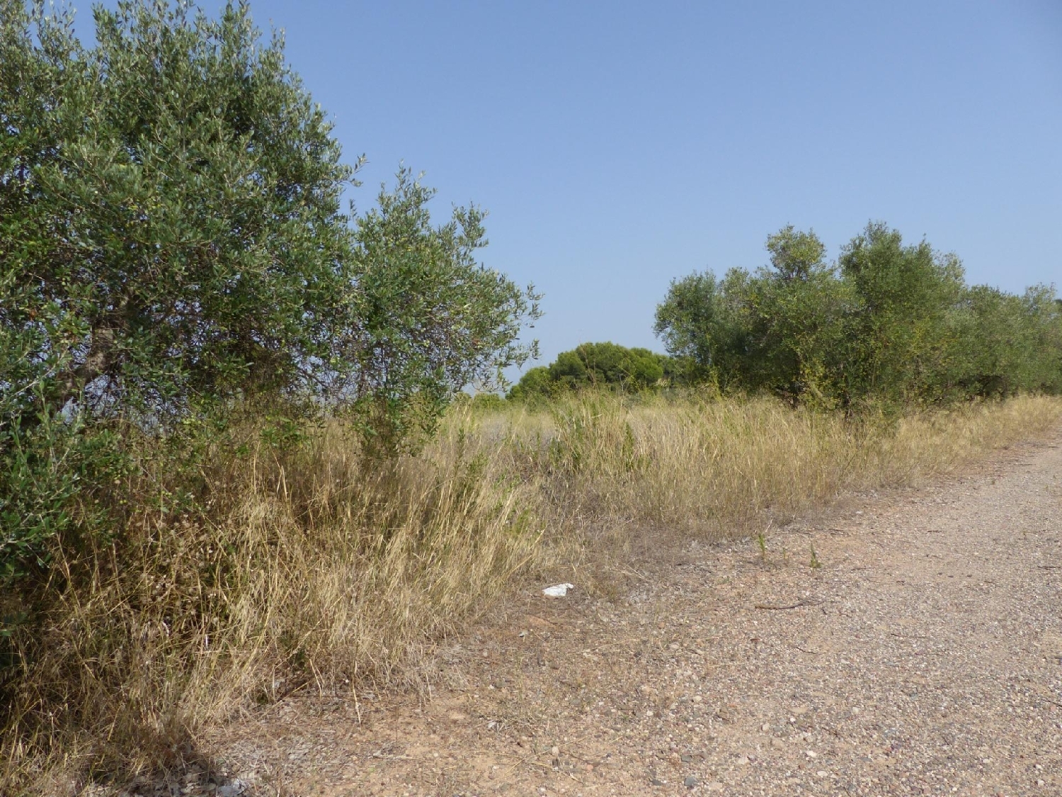  till salu tomt Barriada Les Tres Creus Bages 3
