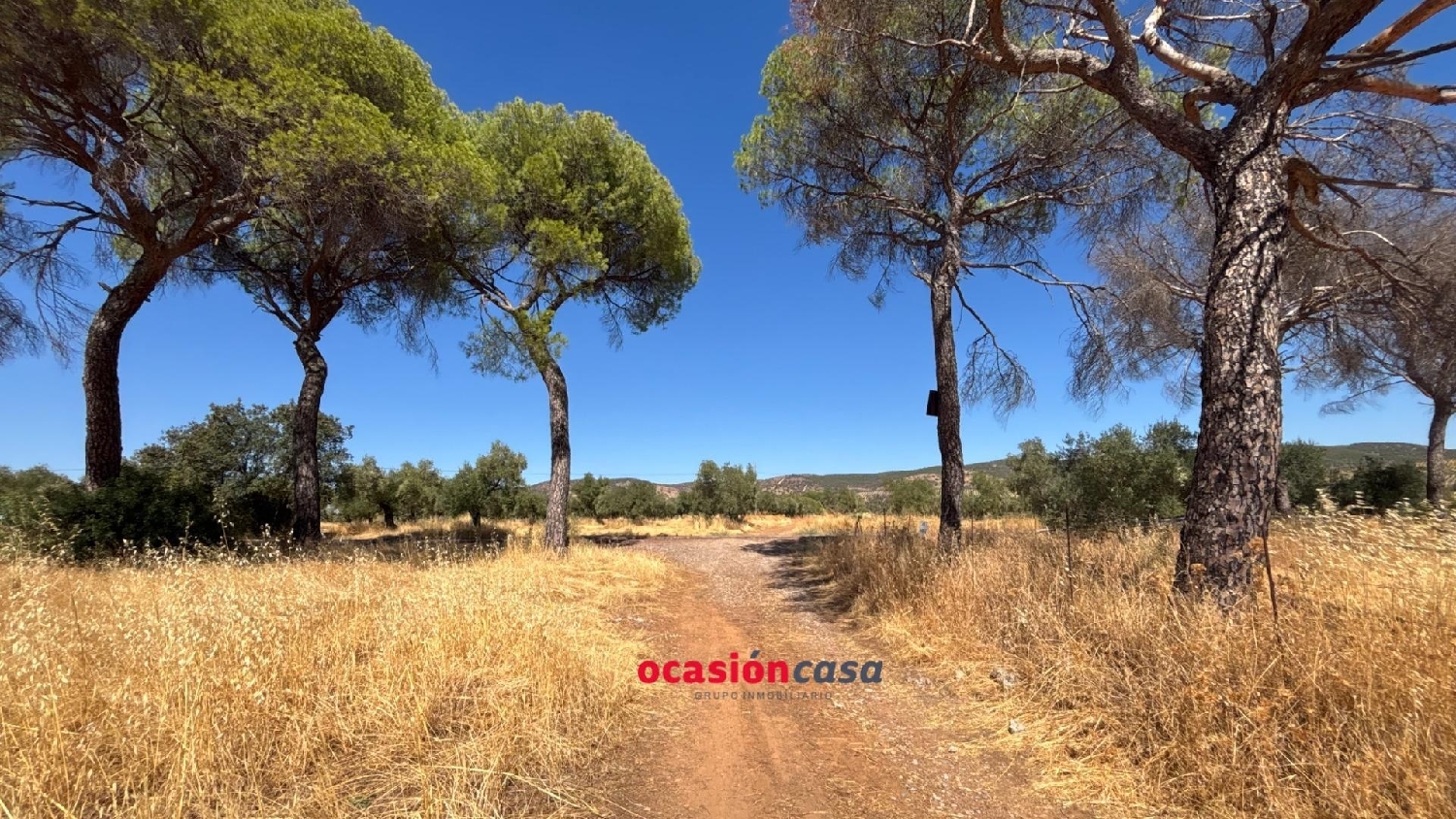  for sale plot Belmez Valle Del Guadiato 2
