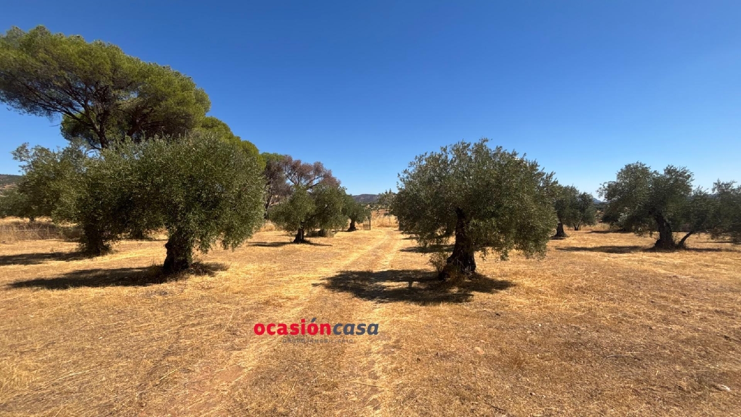  for sale plot Belmez Valle Del Guadiato 3