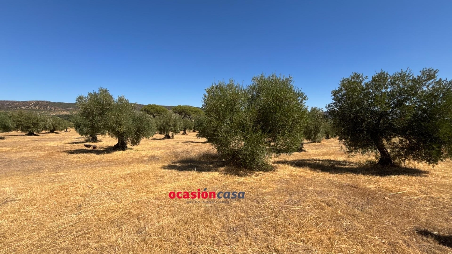  for sale plot Belmez Valle Del Guadiato 4