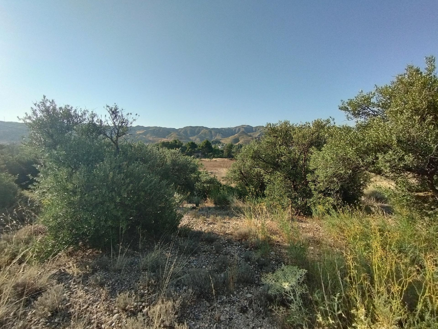  en venta terreno Cadrete D.C. Zaragoza 5