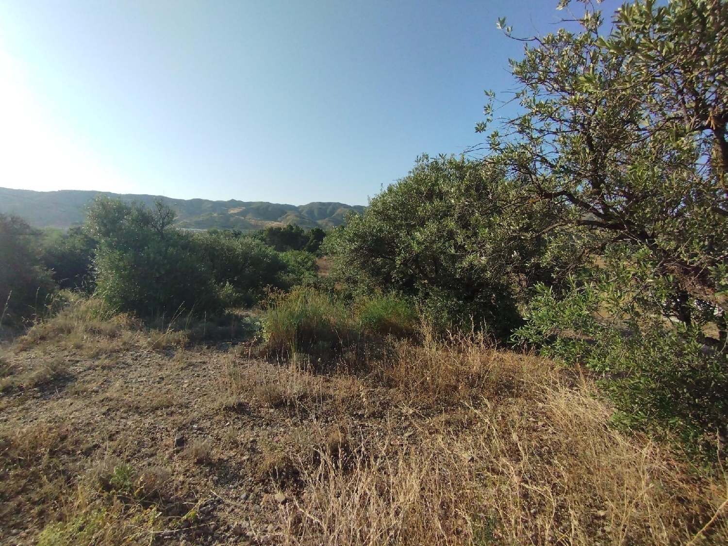  en venta terreno Cadrete D.C. Zaragoza 7