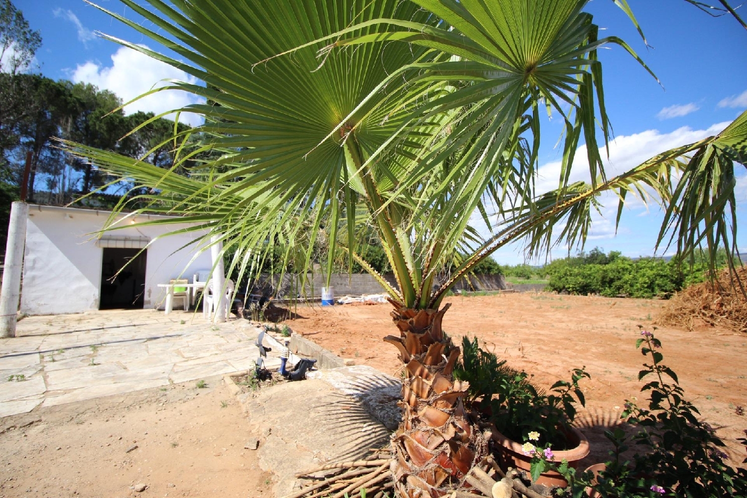  for sale plot Canals Costera (La) 1