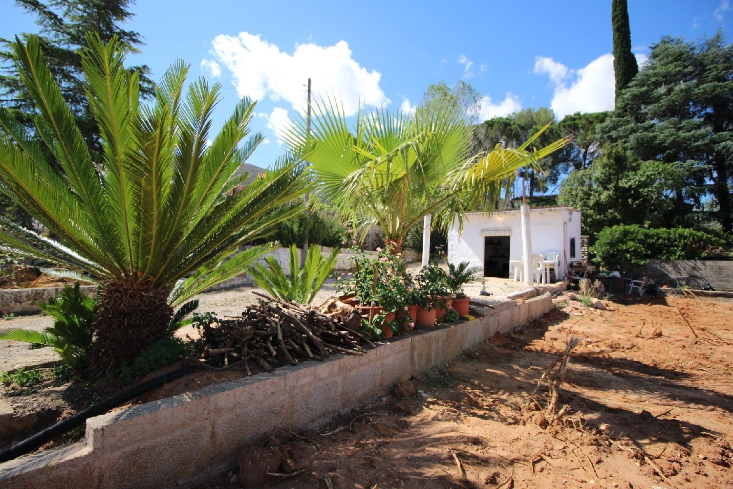  for sale plot Canals Costera (La) 2