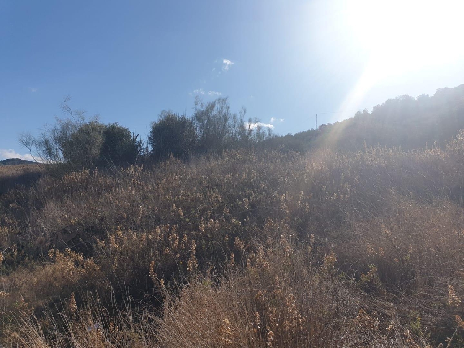  for sale plot Casabermeja Antequera 1