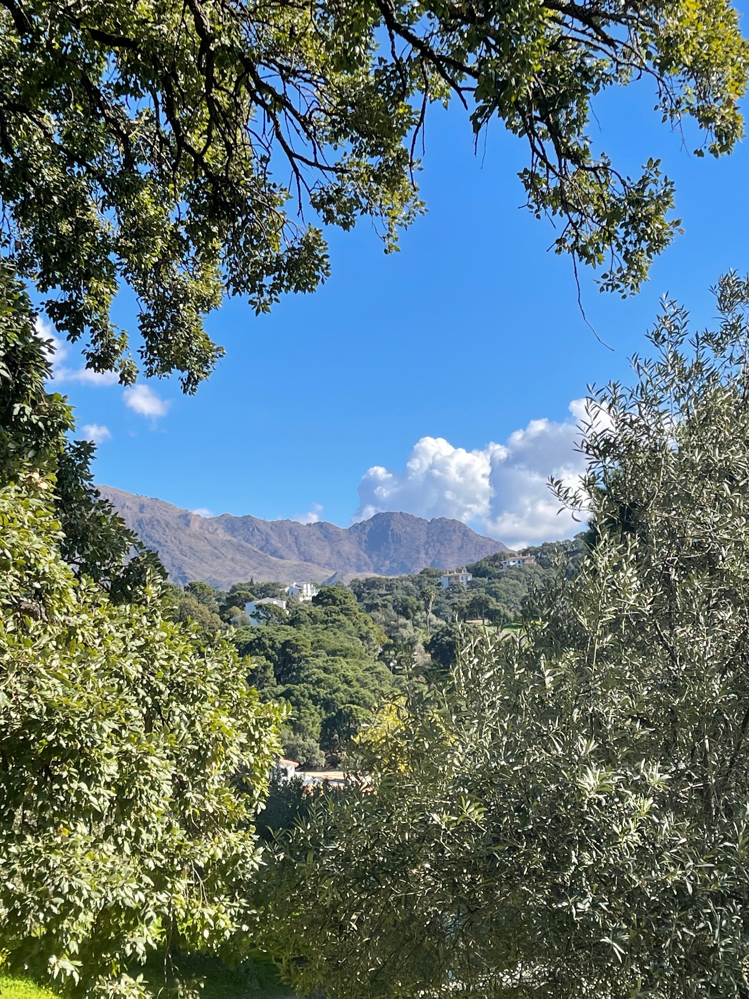  till salu tomt Casares Costa Del Sol Occidental 8