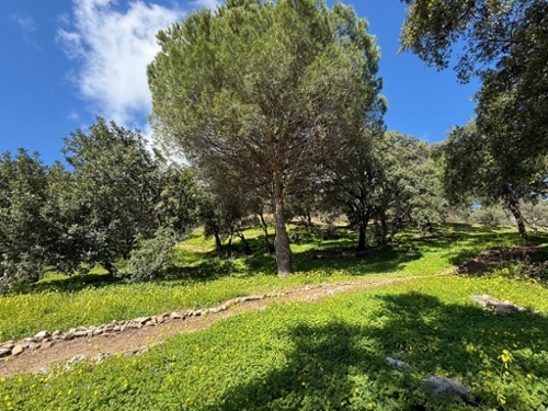 Casares Costa Del Sol Occidental tomt foto 6302292