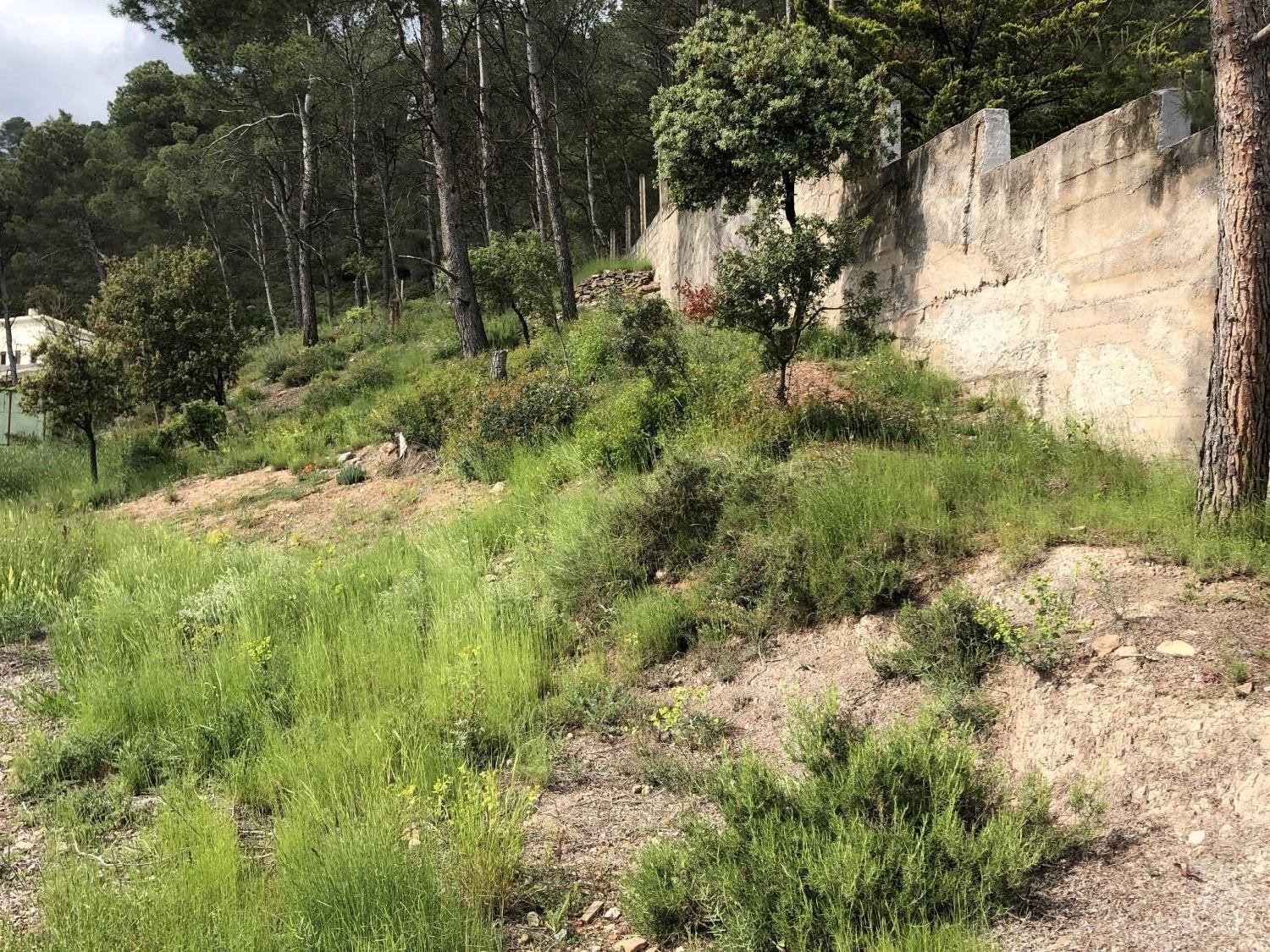  en venta terreno Castellnou De Bages Bages 3