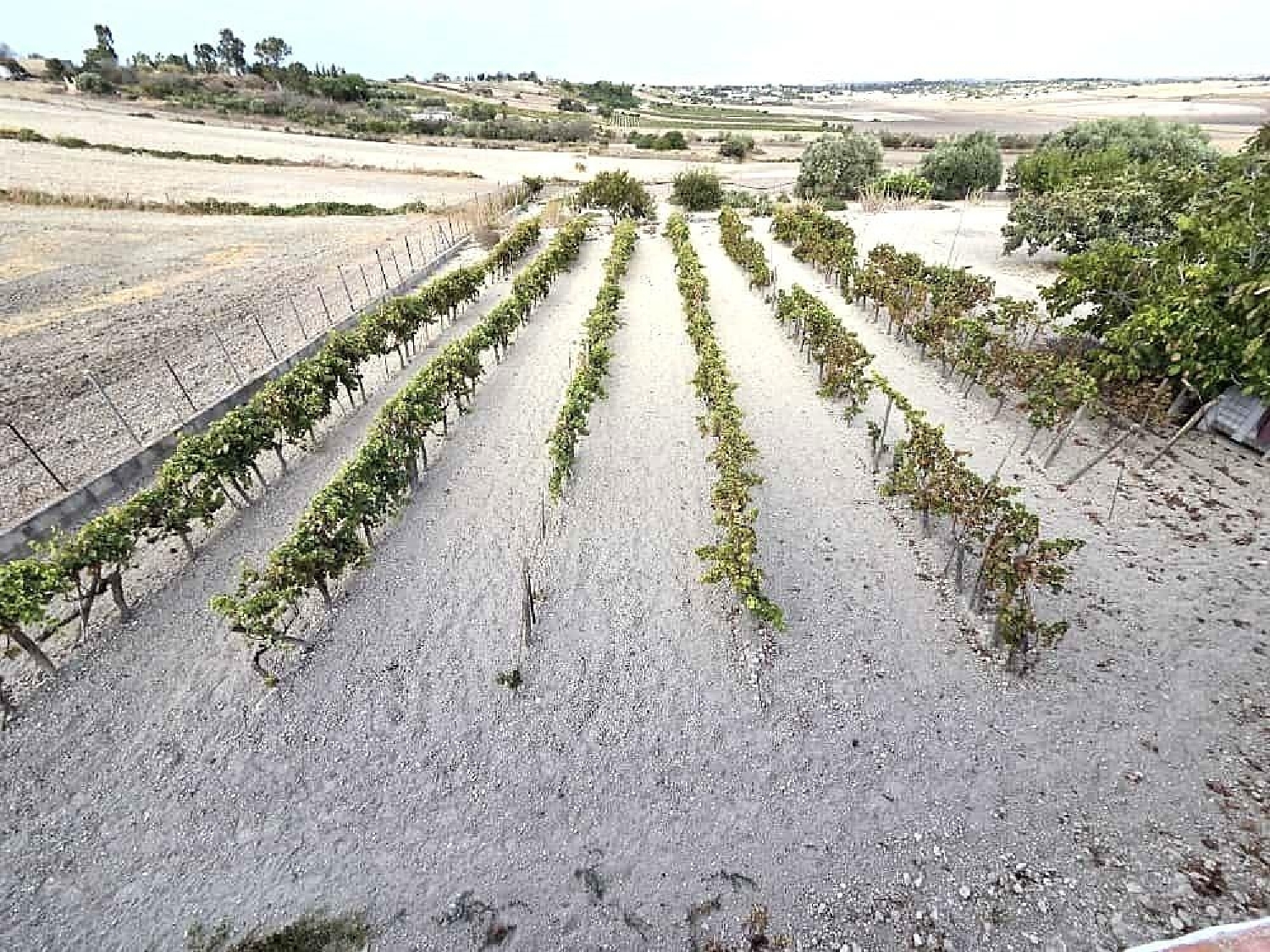  till salu tomt Chiclana De La Frontera Bahía De Cádiz 8