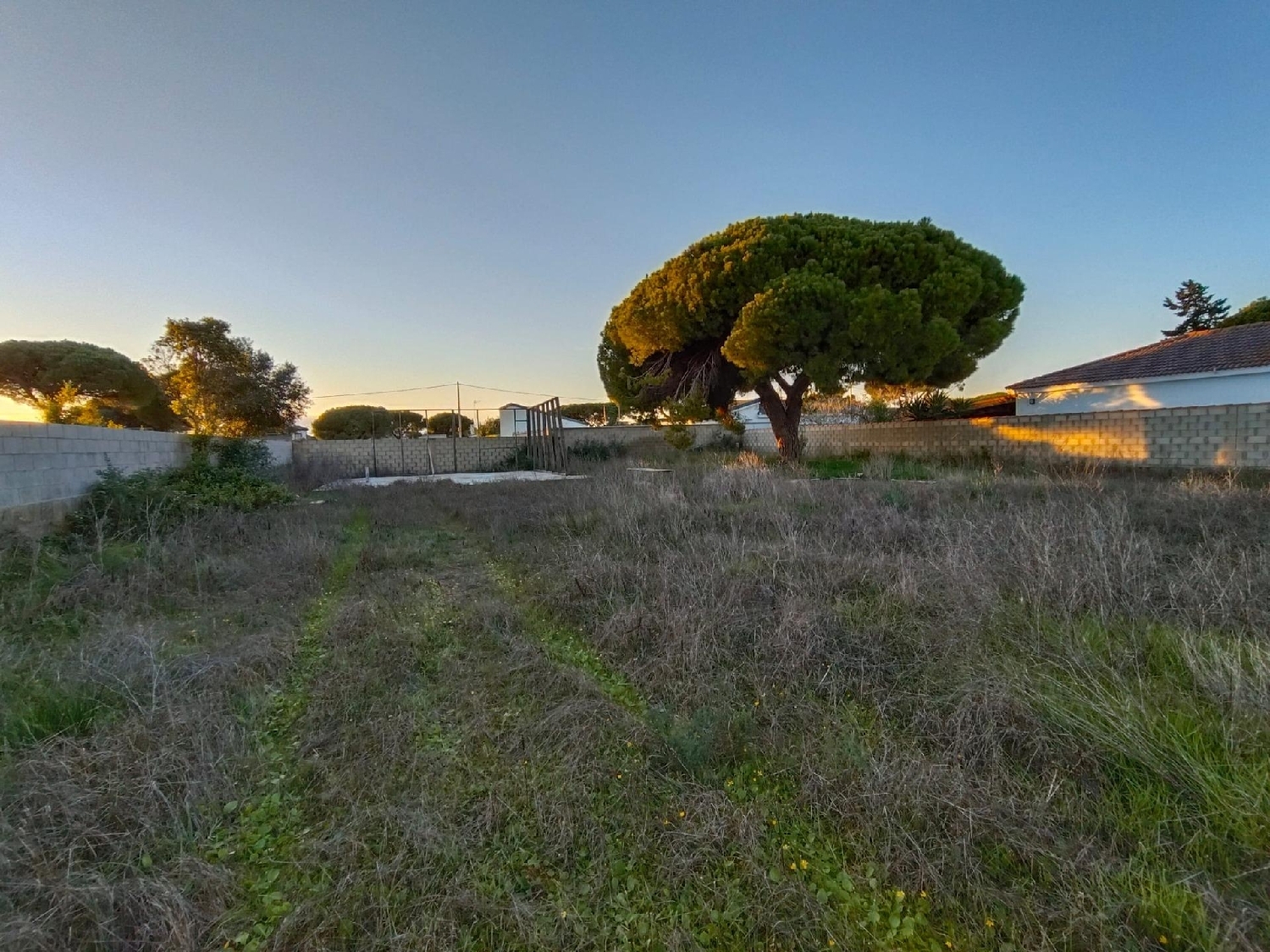  for sale plot Chiclana De La Frontera Bahía De Cádiz 1
