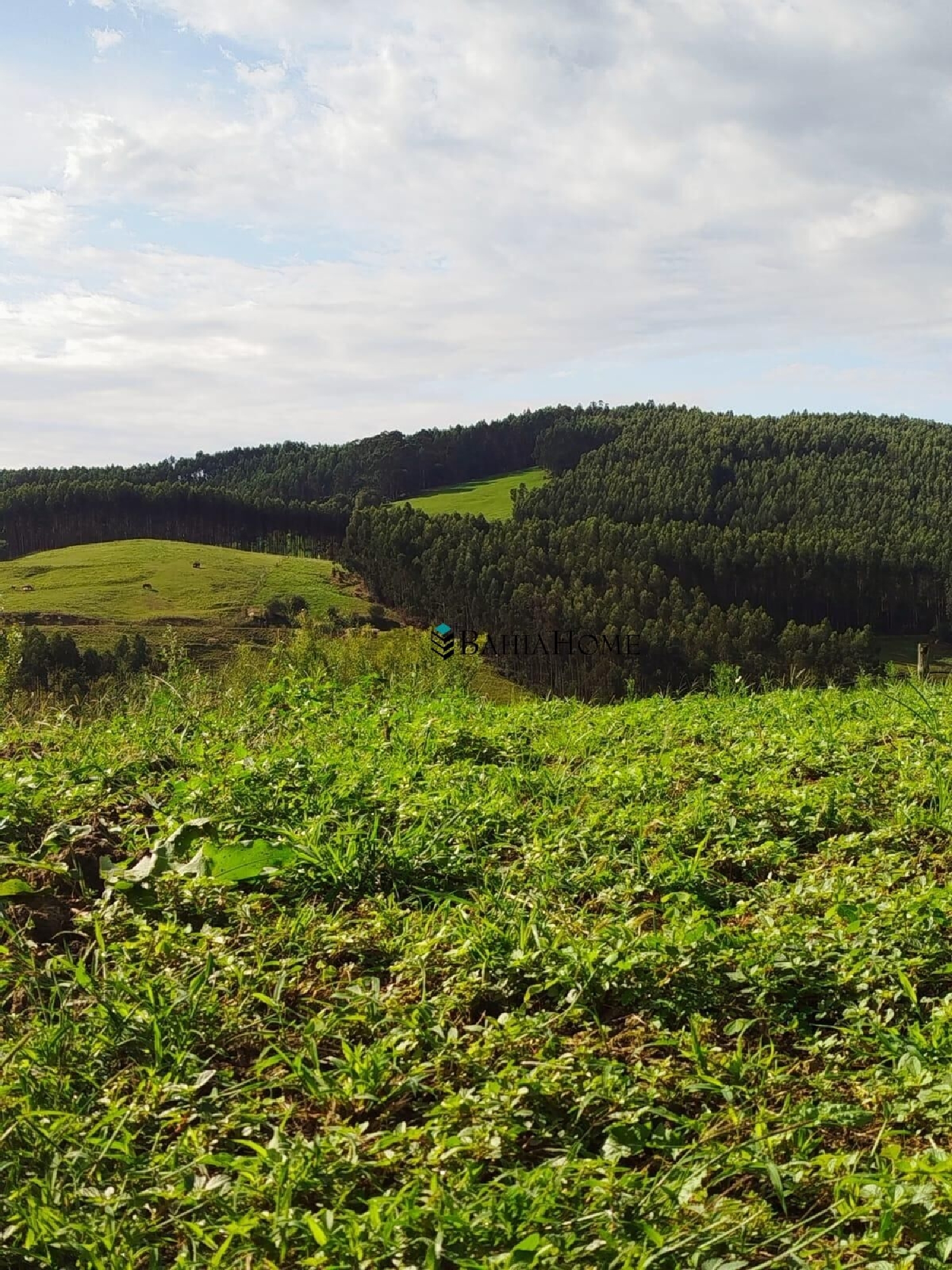  for sale plot Coruña Santiago 5