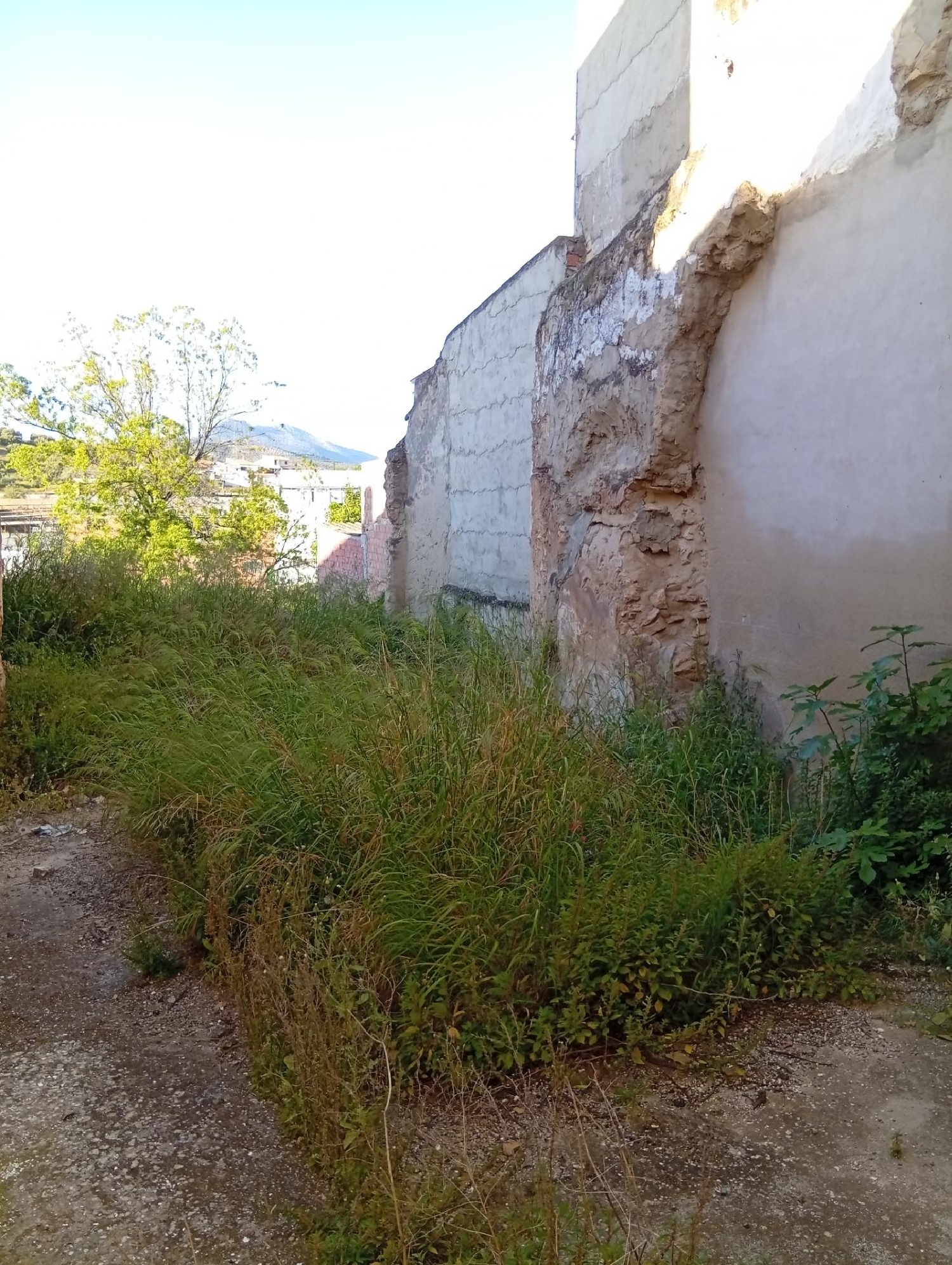  for sale plot Cuevas De San Marcos Nororma 6