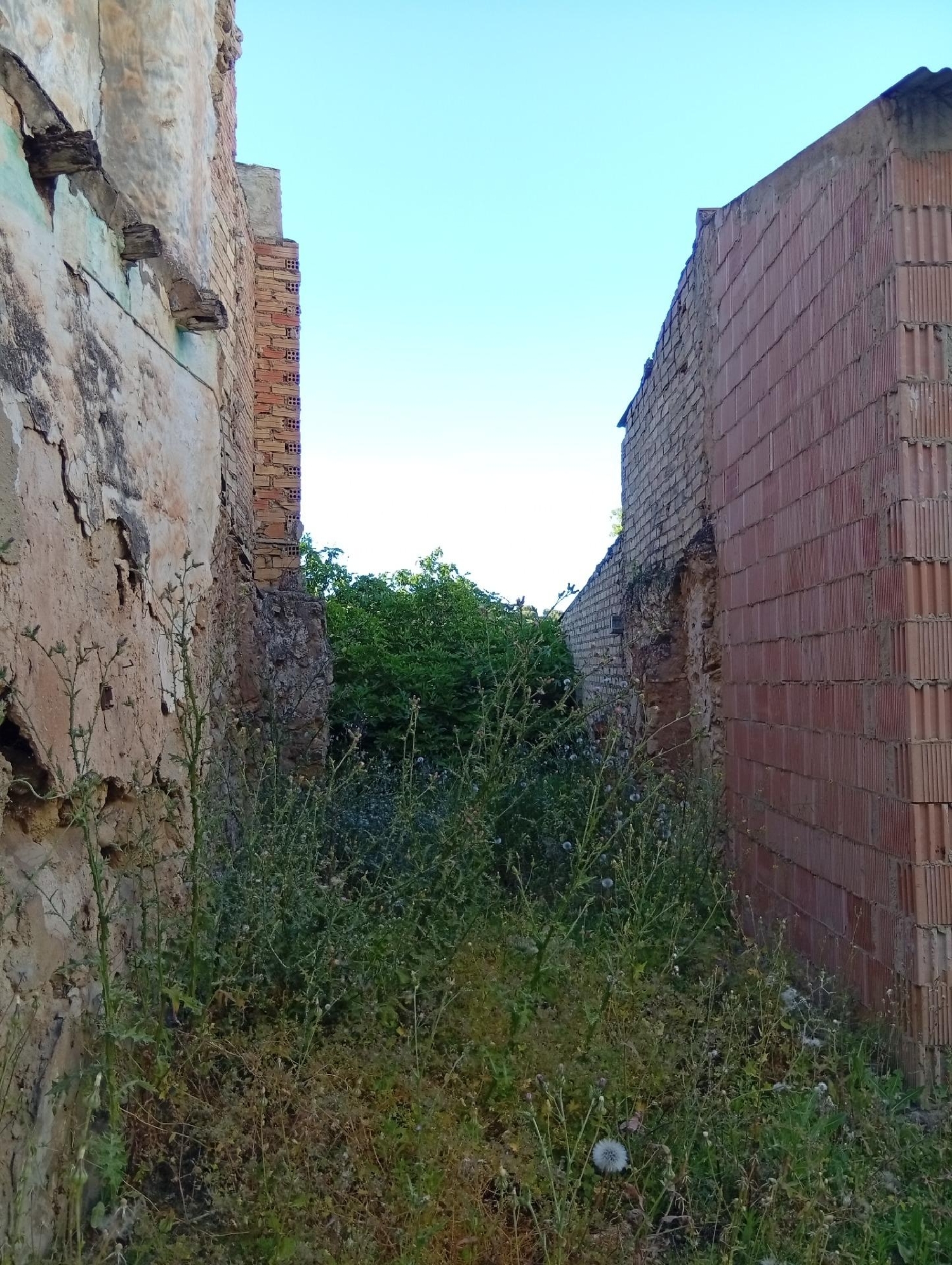  for sale plot Cuevas De San Marcos Nororma 4