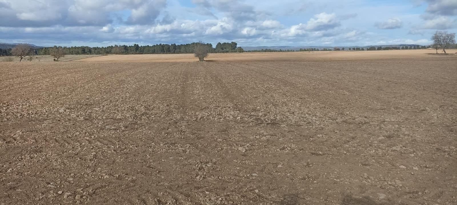  for sale plot El Mayorazgo Cuenca Del Guadarrama 1