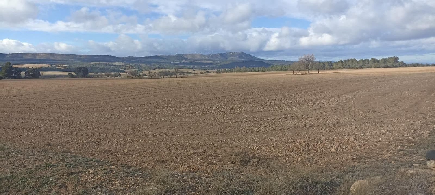 till salu tomt El Mayorazgo Cuenca Del Guadarrama 3