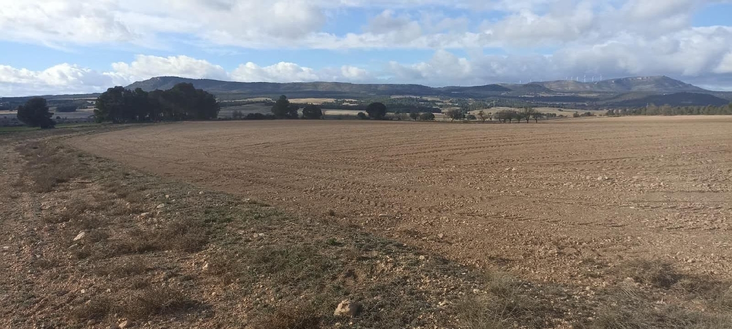  till salu tomt El Mayorazgo Cuenca Del Guadarrama 5