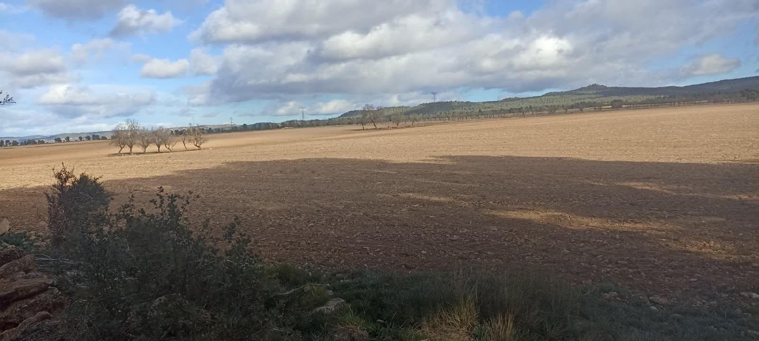  till salu tomt El Mayorazgo Cuenca Del Guadarrama 6