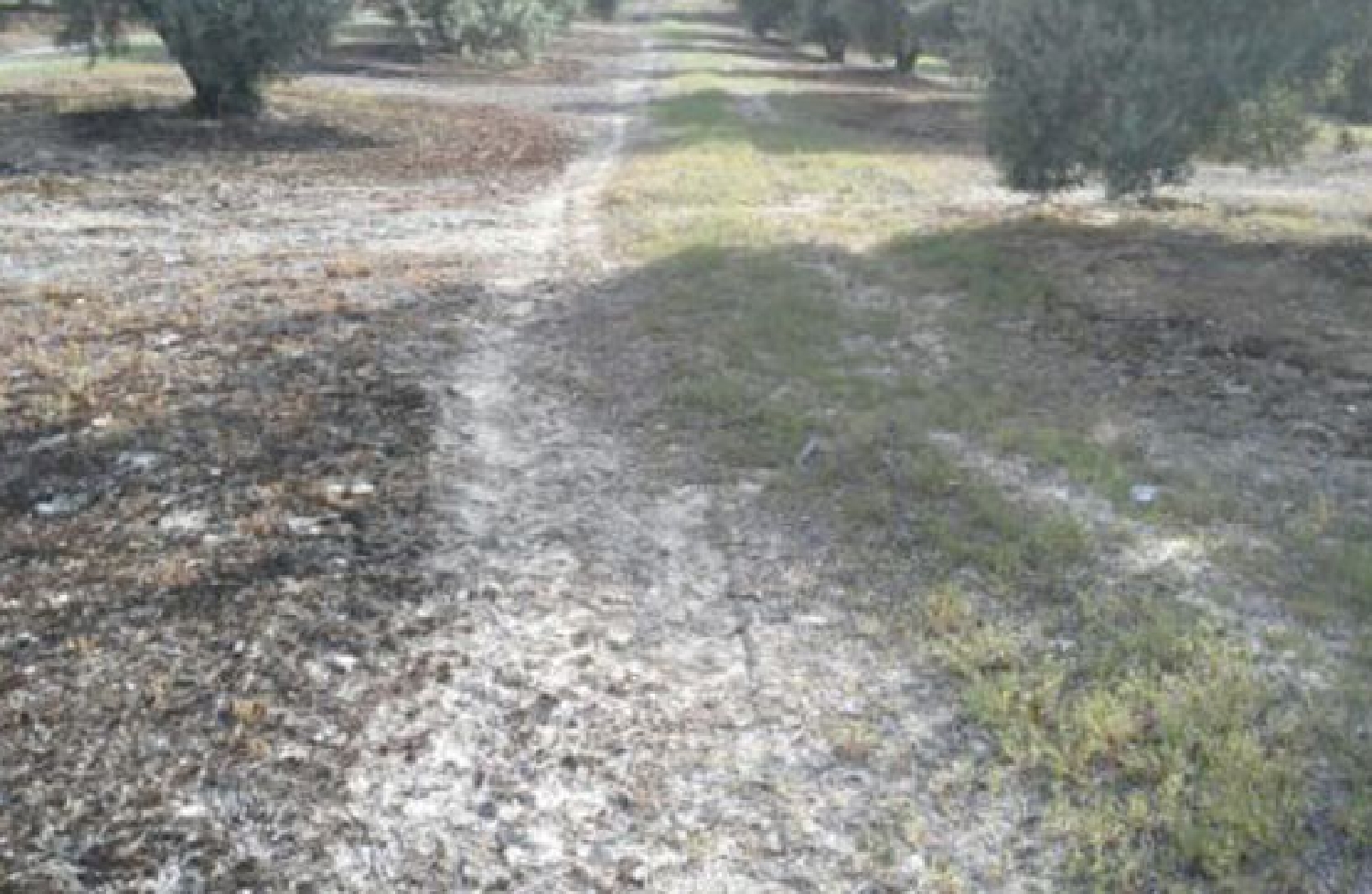 till salu tomt Fuerte Del Rey Metropolitana De Jaén 5