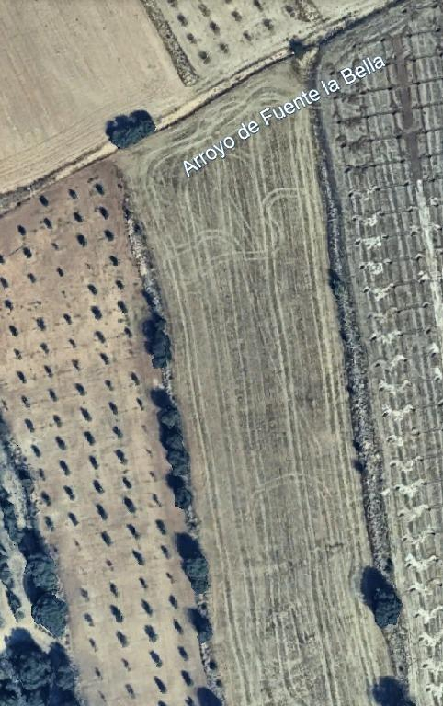  for sale plot Guadahortuna Montes (Los) 6