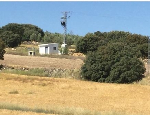 Guadahortuna Montes (Los) plot foto 6301680