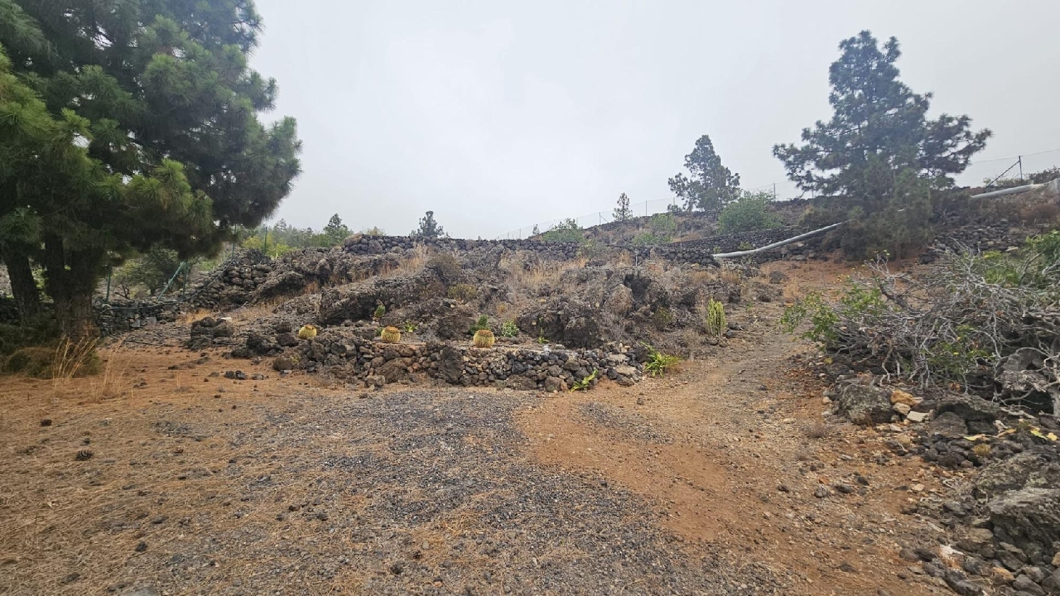  for sale plot Guía De Isora Zona Suroeste 5