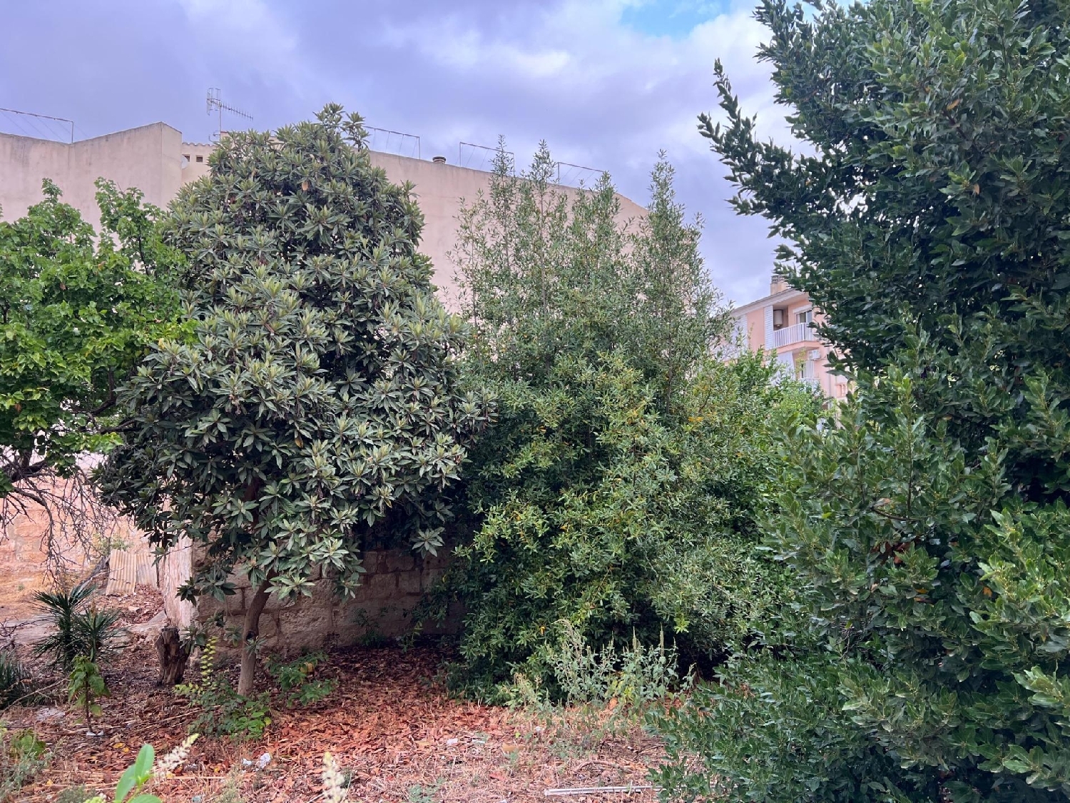for sale plot Inca Raiguer 2