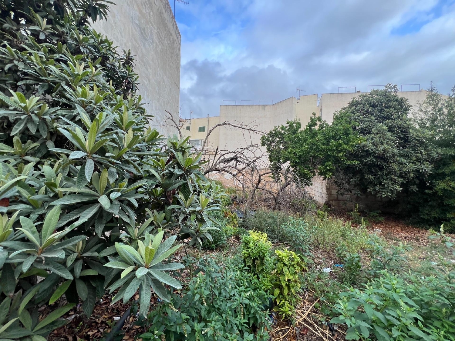  for sale plot Inca Raiguer 4