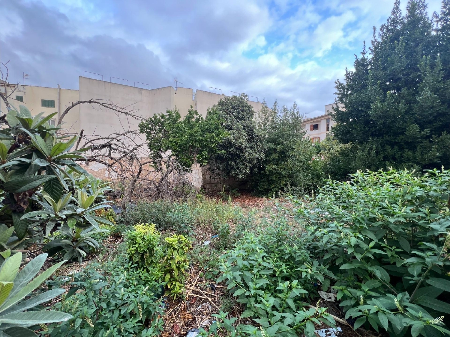  for sale plot Inca Raiguer 6