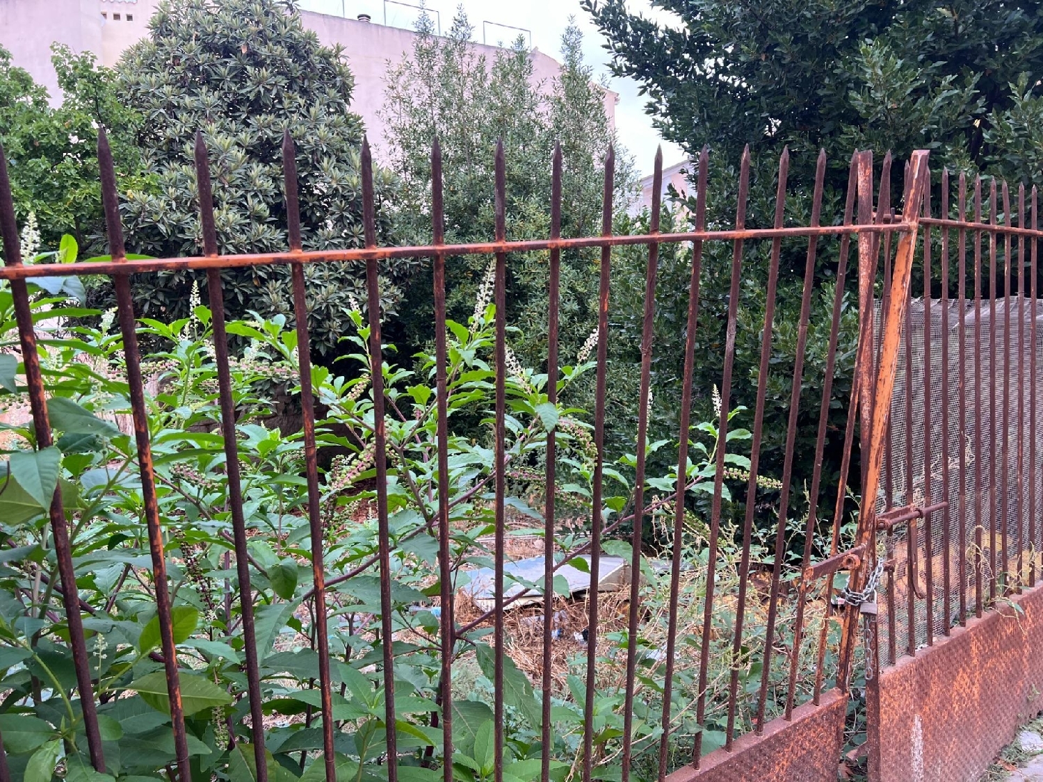  for sale plot Inca Raiguer 8