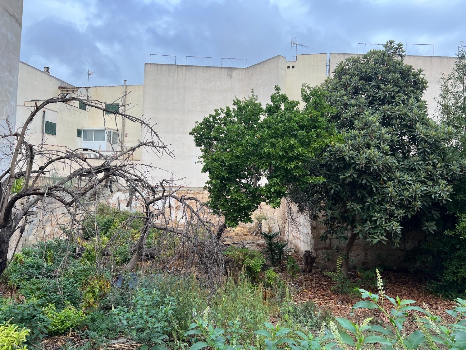 for sale plot Inca Raiguer 3