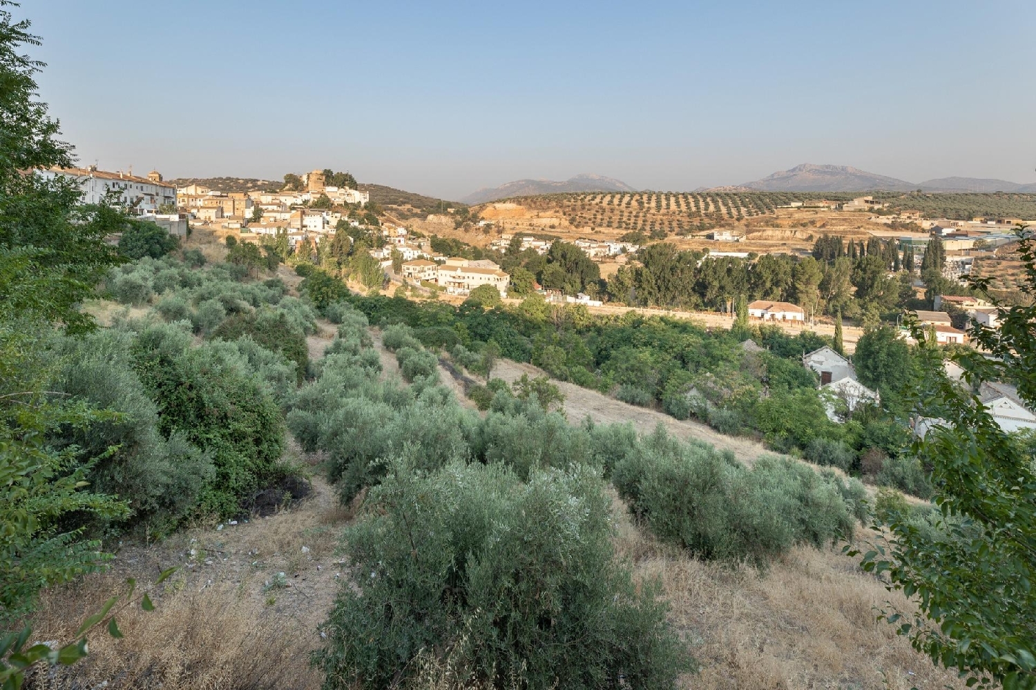  en venta terreno Iznalloz Montes (Los) 5
